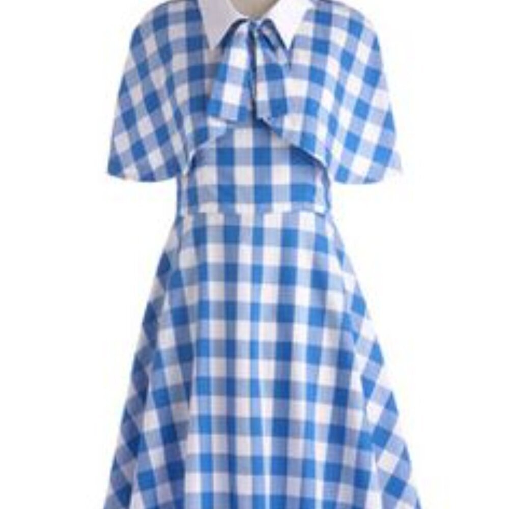 ModCloth Bea and Dot 1950s Vintage Style Gingham A-line Dress with Capelet